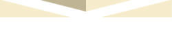 Meshveliani & Co. Logo